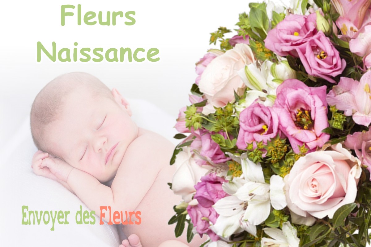 lIVRAISON FLEURS NAISSANCE à REFFROY